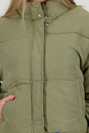 OLIVO