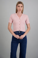 ROSA PASTEL