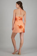 CORAL COMBO