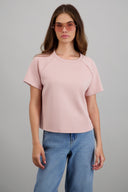 PALO DE ROSA