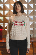 Merry Christmas sweater